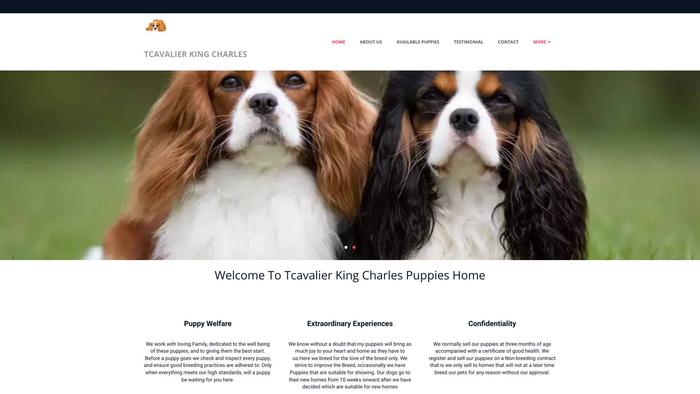 Tcavalierspaniel.com - Cavalier King Charles Spaniel Puppy Scam Review