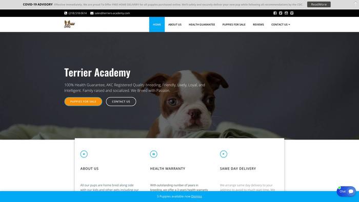 Terriers-academy.com - Terrier Puppy Scam Review