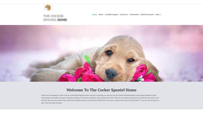 Thecockerspanielhome.com - Cockerspaniel Puppy Scam Review