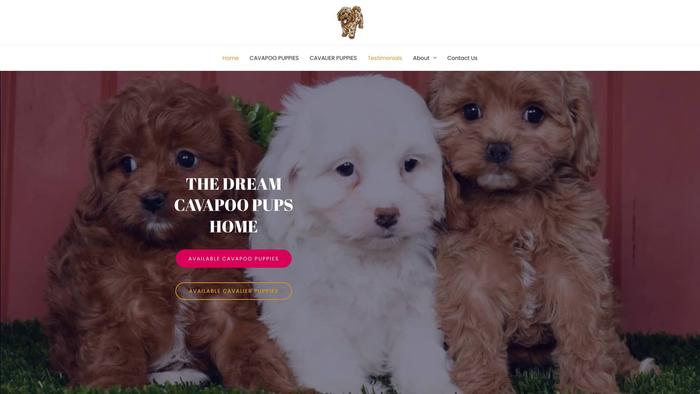 Thedreamcavapoohome.com - Cavapoo Puppy Scam Review