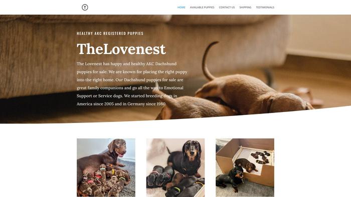 Thelovenesst.com - Dachshund Puppy Scam Review