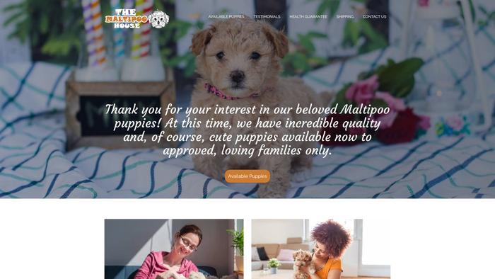 Themaltipooshouse.com - Maltipoo Puppy Scam Review