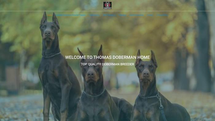 Thomasdobberman.com - Doberman Pinscher Puppy Scam Review