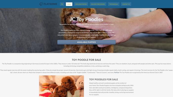 Toypoodleshome.xyz - Poodle Puppy Scam Review