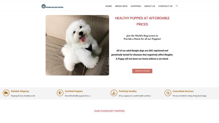 Trainedmaltesepuppies.com - Maltese Puppy Scam Review