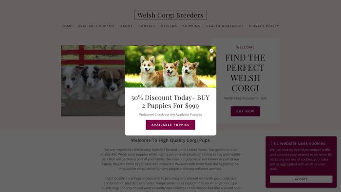 Welshcorgibreeders.club - Corgi Puppy Scam Review