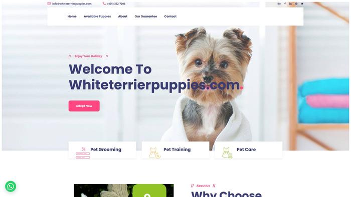 Whiteterrierpuppies.com - Terrier Puppy Scam Review