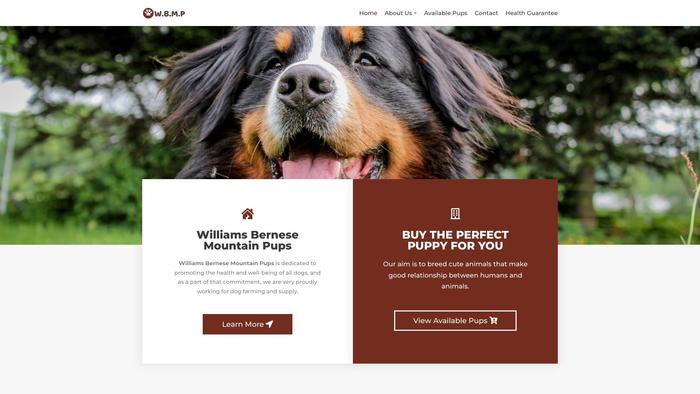 Williamsbernesemountainpups.com - Bernese Mountain Dog Puppy Scam Review