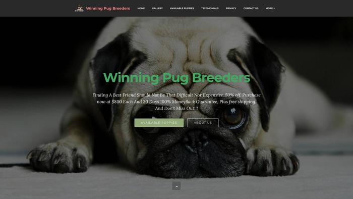 Winningpugbreeders.com - Pug Puppy Scam Review