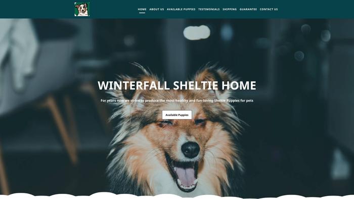 Winterfallsheltiehome.com - Sheltie Puppy Scam Review