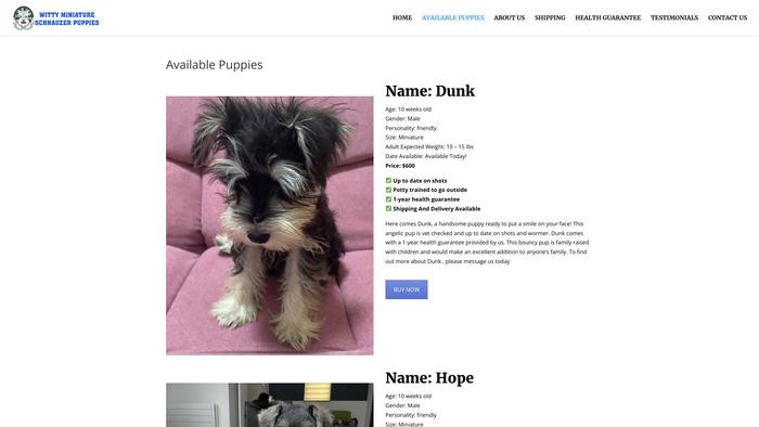 Wittyminiatureschnauzerpuppies.com - Schnauzer Puppy Scam Review