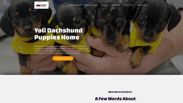 Yolidachshundpuppieshome.com - Dachshund Puppy Scam Review