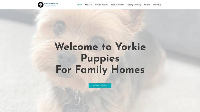 Yorkiepuppiesforfamilyhomes.com - Yorkshire Terrier Puppy Scam Review