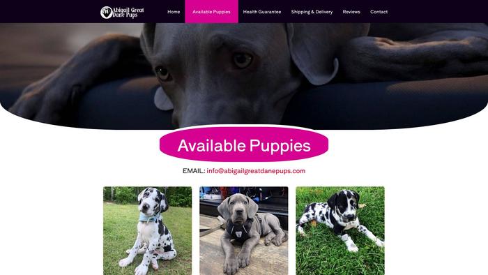 Abigailgreatdanepups.com - Great Dane Puppy Scam Review