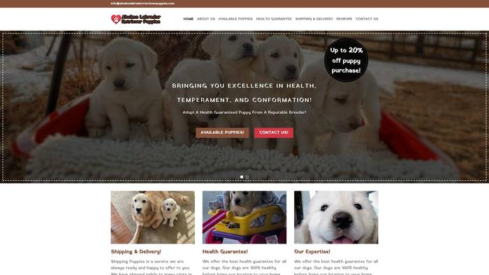 Abulmolabradorretrieverpuppies.com - Golden Retriever Puppy Scam Review