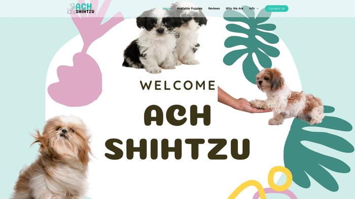 Achshihtzu.com - Shihtzu Puppy Scam Review