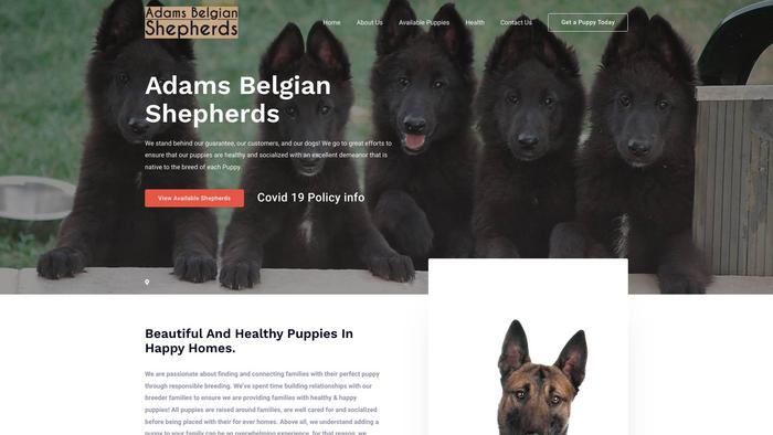 Adamsbelgianshepherds.com - Germanshepherd Puppy Scam Review