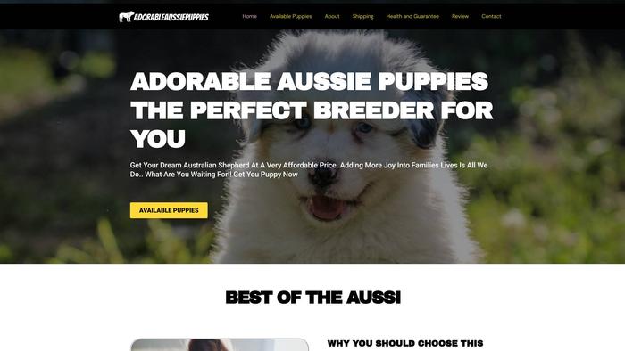 Adorableaussiepuppies.com - Australian Shepherd Puppy Scam Review