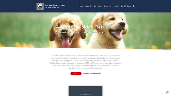 Adorablegoldenretriever.com - Golden Retriever Puppy Scam Review