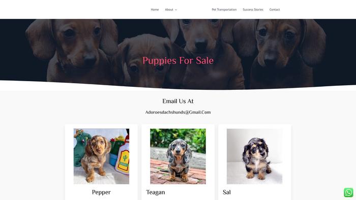 Adoroedachshunds.com - Dachshund Puppy Scam Review