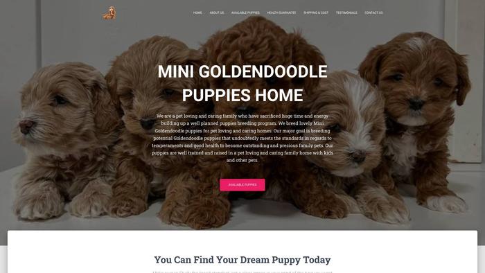 Akcgoldendoodledogs.com - Golden Doodle Puppy Scam Review