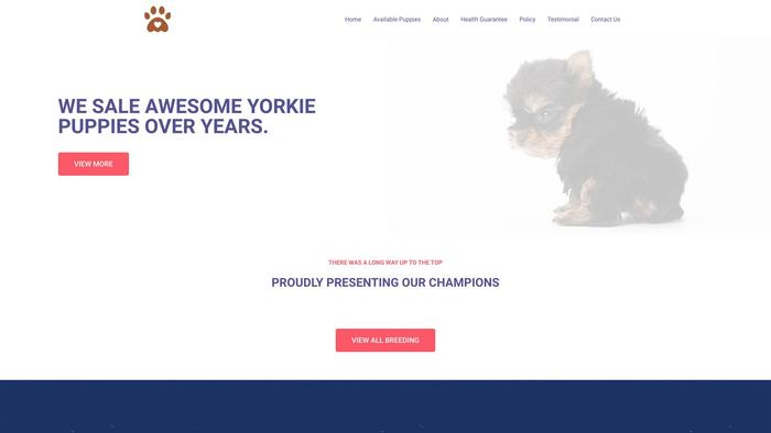 Akctcupyorkieshome.us - Yorkshire Terrier Puppy Scam Review