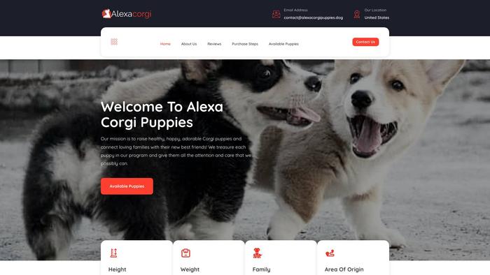 Alexacorgipuppies.dog - Corgi Puppy Scam Review