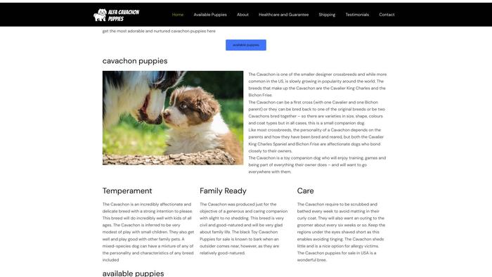 Alfacavachonpuppies.com - Cavachon Puppy Scam Review