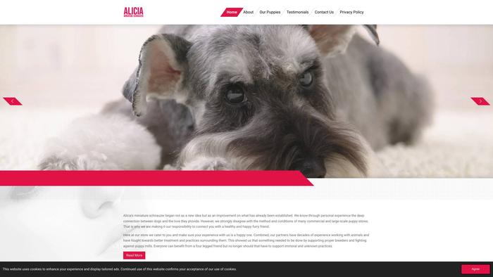 Aliciasminiatureschnauzer.com - Schnauzer Puppy Scam Review