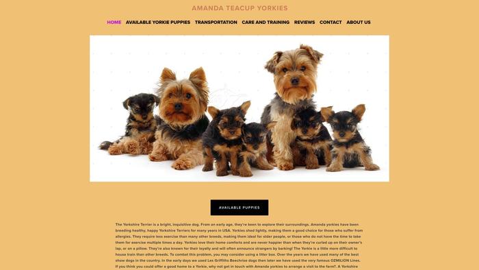 Amandateacupyorkies.com - Yorkshire Terrier Puppy Scam Review