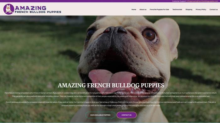 Amazingfrenchbulldogpuppies.com - French Bulldog Puppy Scam Review