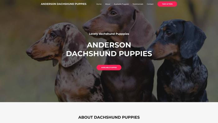 Andersondachshundpuppies.com - Dachshund Puppy Scam Review