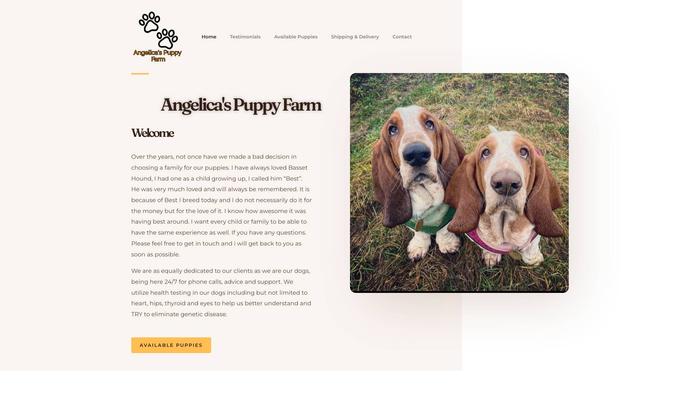 Angelicapuppyfarm.com - Bernedoodle Puppy Scam Review