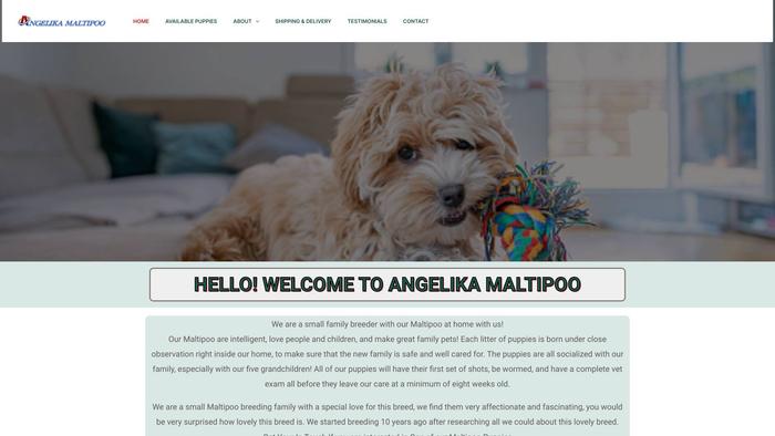 Angelikamaltipoo.com - Maltipoo Puppy Scam Review