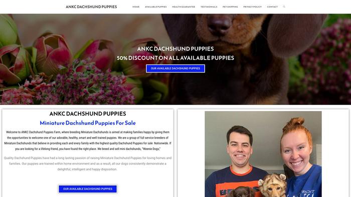 Ankcdachshundpuppies.com - Dachshund Puppy Scam Review