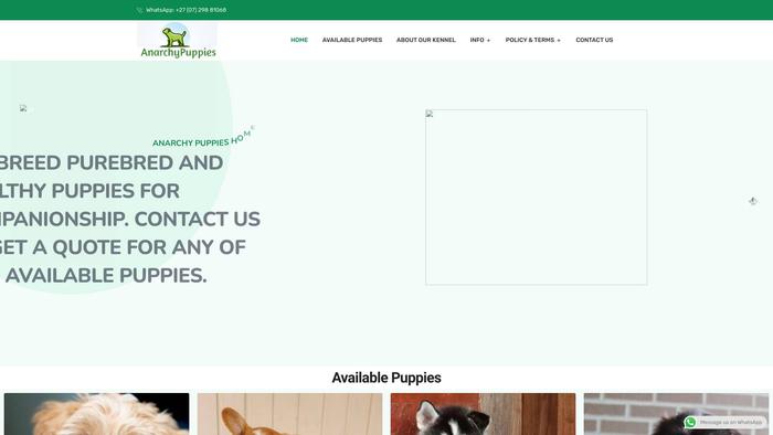 Arnachypuppies.com - Boston Terrier Puppy Scam Review