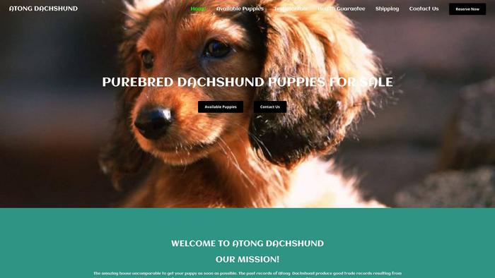 Atongdachshund.com - Dachshund Puppy Scam Review