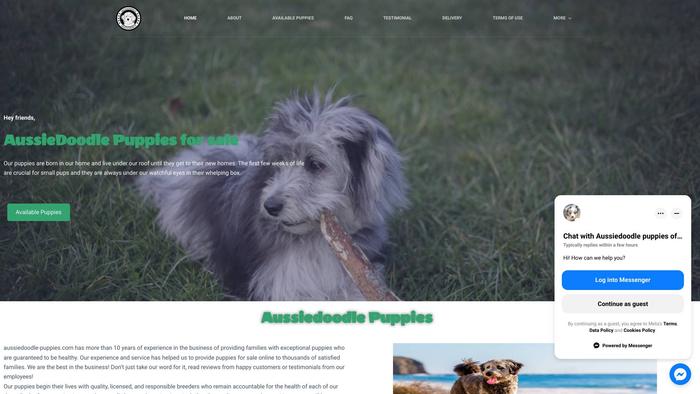 Aussiedoodle-puppies.com - Australian Shepherd Puppy Scam Review