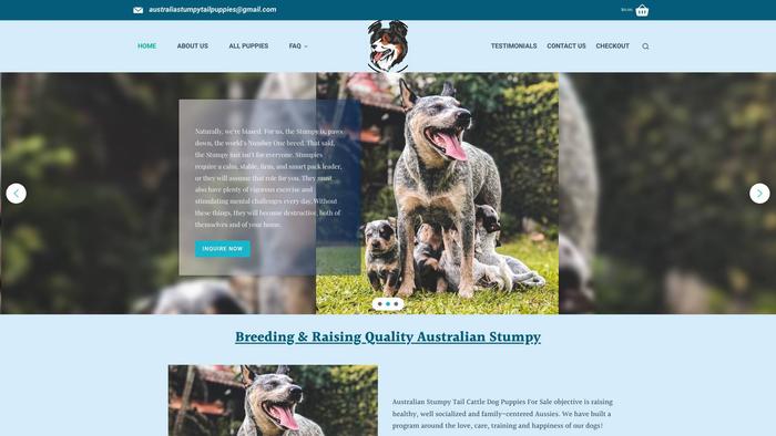 Australianstumpytailcattledogpuppiesforsale.com - Australian Shepherd Puppy Scam Review