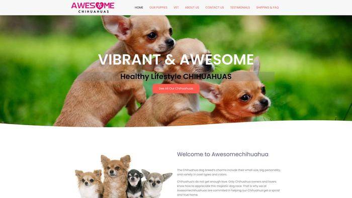 Awesomechihuahuas.com - Chihuahua Puppy Scam Review