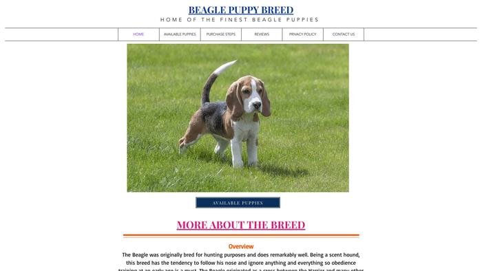 Beaglepuppybreed.com - Beagle Puppy Scam Review