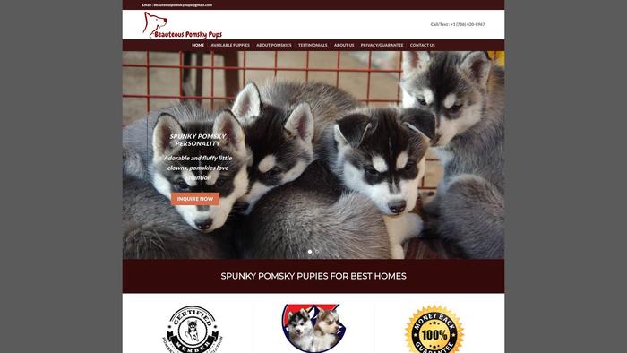 Beauteouspomskypups.com - Pomeranian Puppy Scam Review