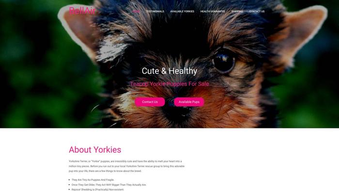 Bellairyorkiepuppies.com - Yorkshire Terrier Puppy Scam Review