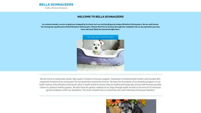 Bellaschnauzers.online - Schnauzer Puppy Scam Review