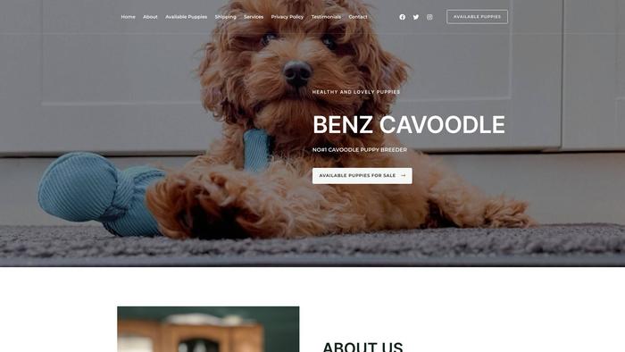 Benzcavoodle.com - Cavapoo Puppy Scam Review