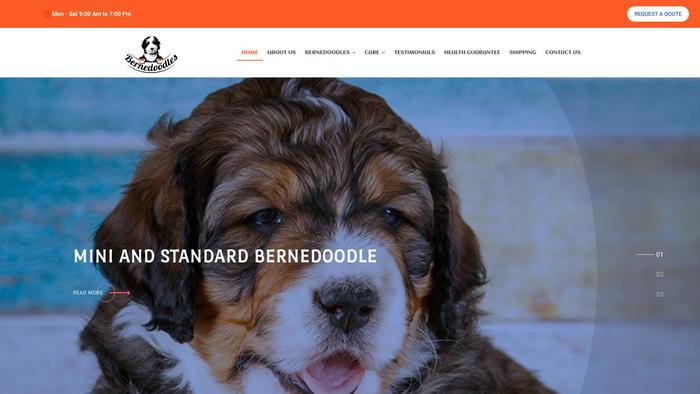 Bernedoodlecareandrehoming.com - Bernedoodle Puppy Scam Review