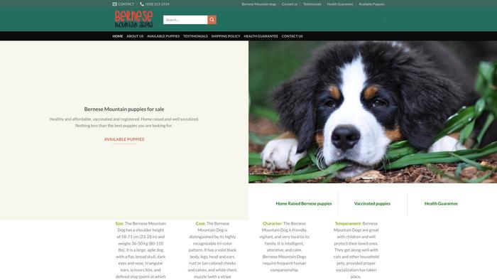 Bernesemountainarena.com - Bernese Mountain Dog Puppy Scam Review