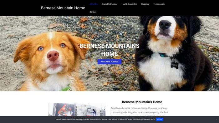 Bernesemountainhome.com - Bernese Mountain Dog Puppy Scam Review