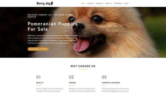 Berryjayhome.com - Pomeranian Puppy Scam Review