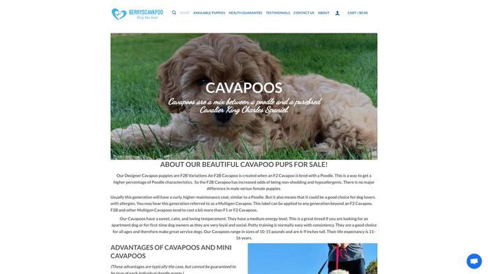 Berryscavapoo.com - Cavapoo Puppy Scam Review